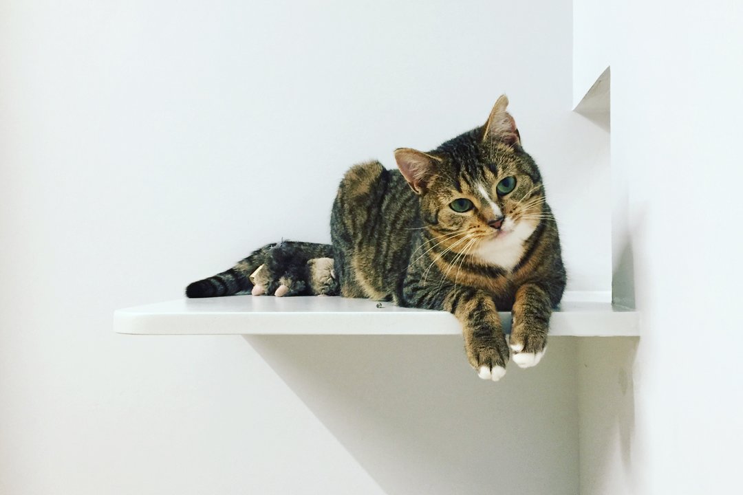 AFC0258F_38EE_4A27_A5D7_DFC92DBB8E84