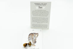 Oorbellen Tijgeroog zilver