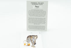 Oorbellen Cats eye zilver