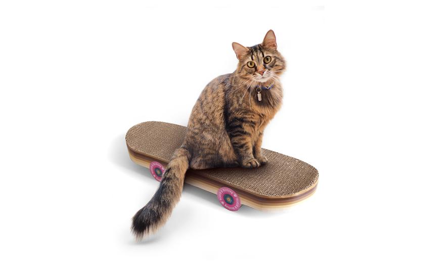 Skateboard krabkarton