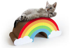 Regenboog krakbarton