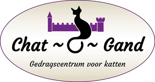 24197123_10155249487897831_1252171100_o_1