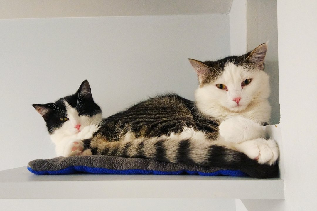 IMG_20171205_164400_365