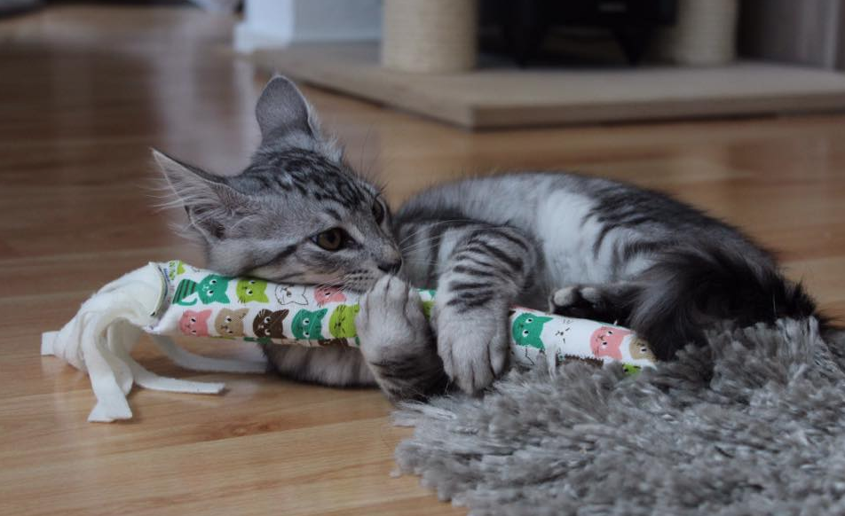 Screen_Shot_2016_05_11_at_17_46_23_2048x2048