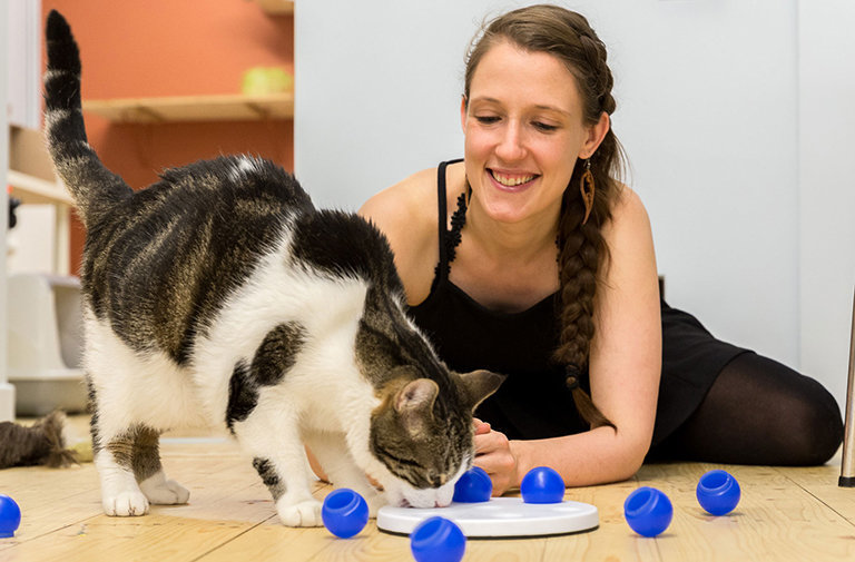 w1080h720zcCq85_Joline2_768x505