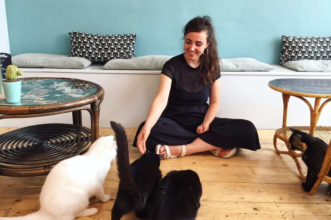 d88d20b8_b0cb_4611_87ad_8f0e8e76ee13