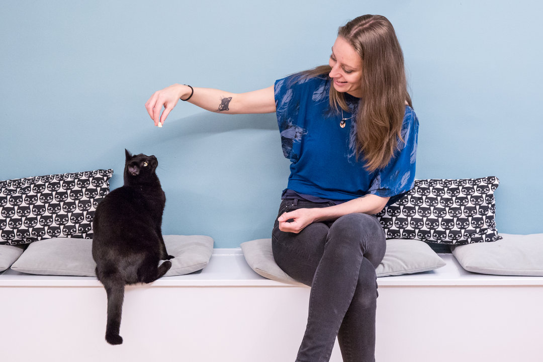 dreamCATchers_Gillian_Pieteraerens_2951