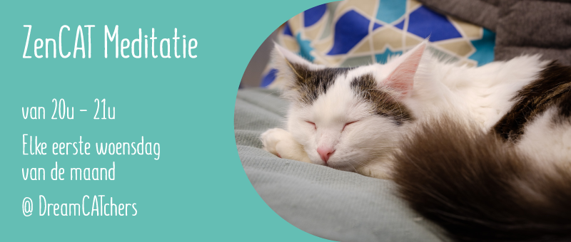 DC_ZenCATMeditatie_web
