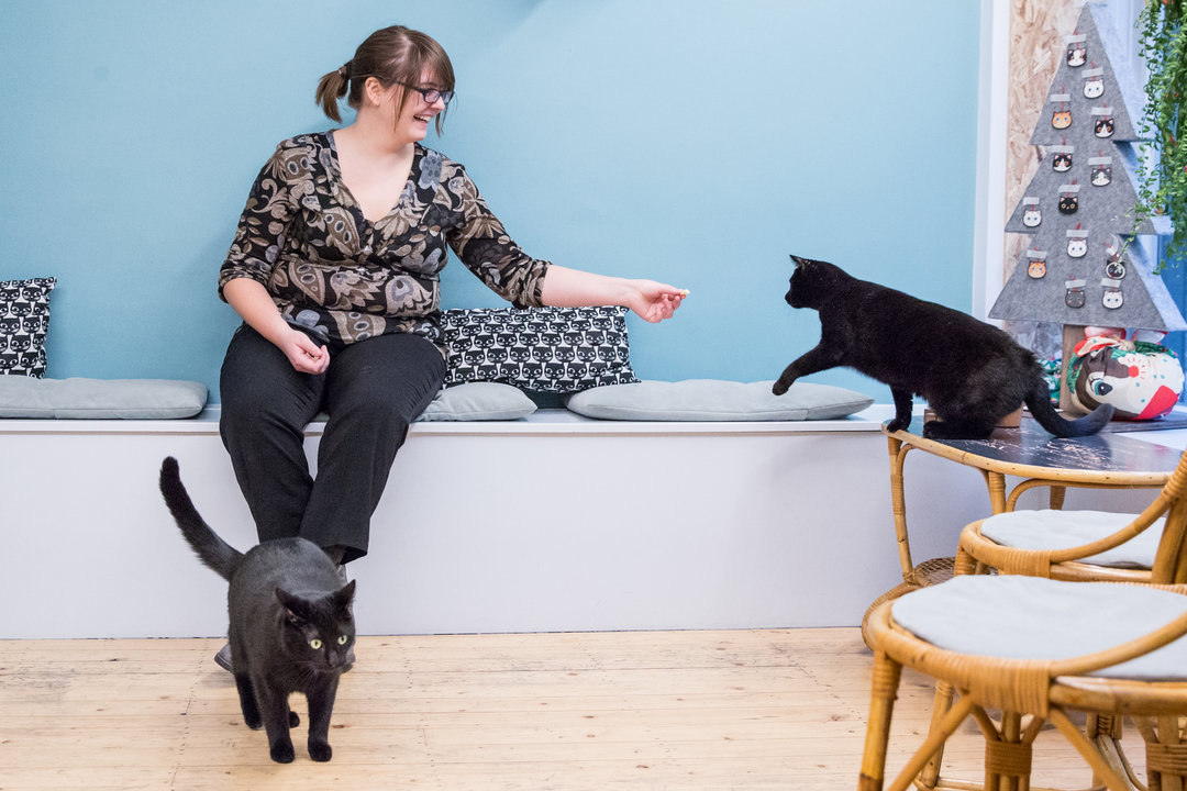 DreamCATchers_Gillian_Pieteraerens_2963