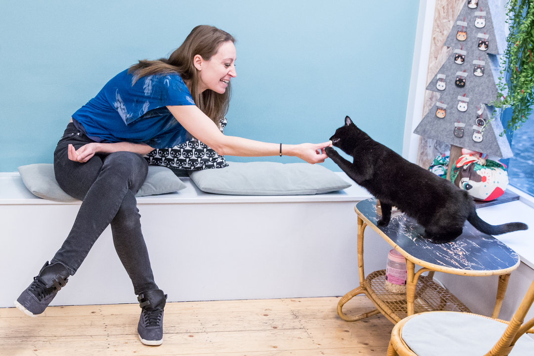 DreamCATchers_Gillian_Pieteraerens_2938