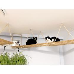 Help onze opvang poezen 