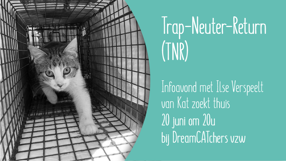 TNR_infoavond_02
