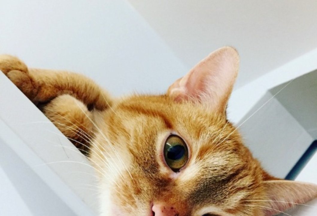 d10833cf_1d51_49f4_900e_8b46ee72b029