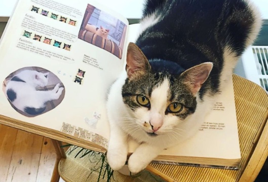 ddfbb13c_3446_402f_8aa7_db435d7eff6f