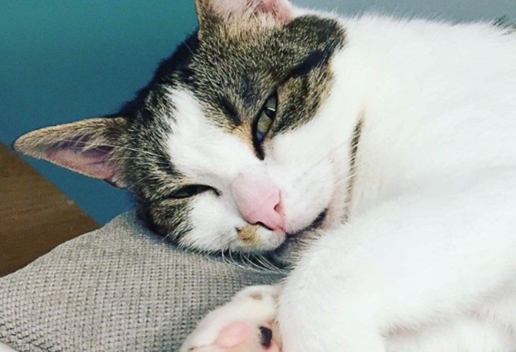 ff166e47_0520_45a0_831f_47cc492cee83