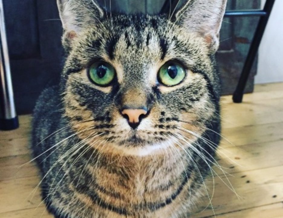 11033e1c_6b87_487a_ac3b_59ad9ddae620