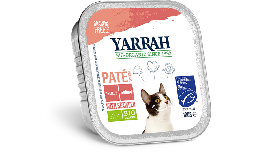 Alu vlootje Paté zalm