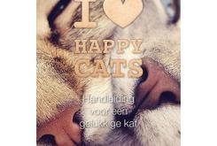 I <3 Happy Cats