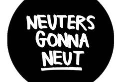 Button Neuters