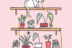 Poes met planten