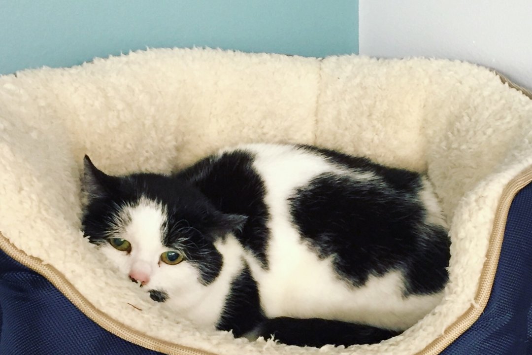 9A9E3DE8_4EDD_4C81_A555_C9BBFCDCC695