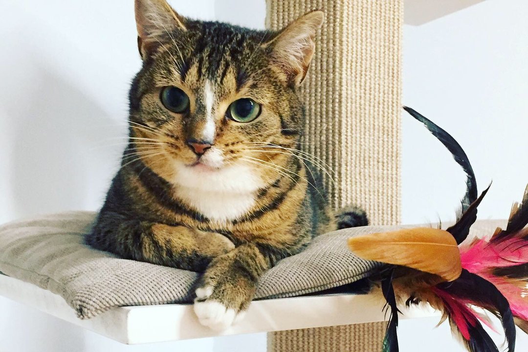 0369EE08_CF3F_4ADA_83ED_BA1DEE587790