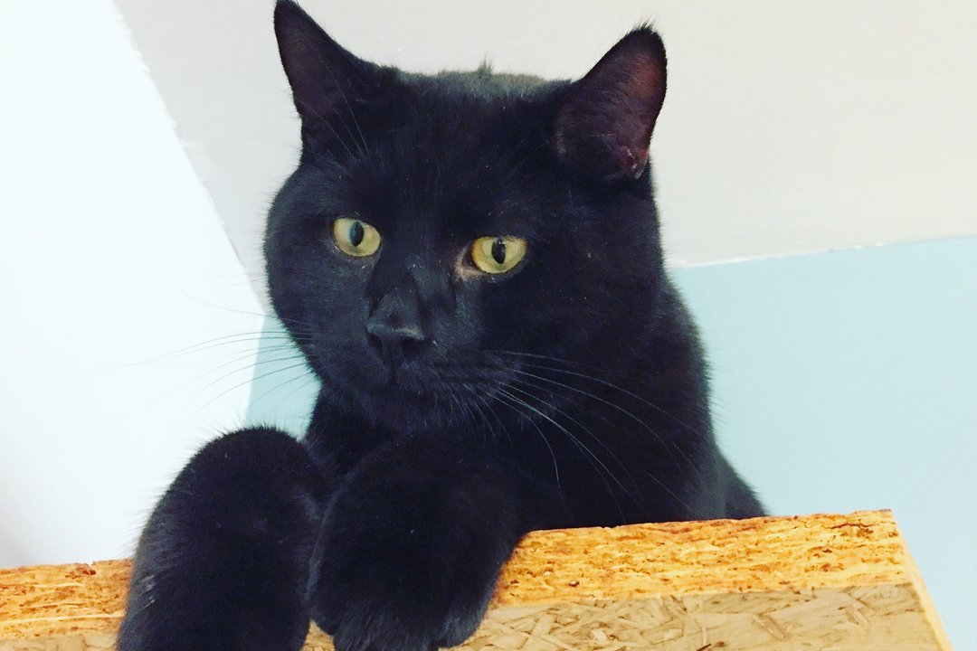 0D8A1ED1_1BFB_4EED_BEFA_62FD95156D1C