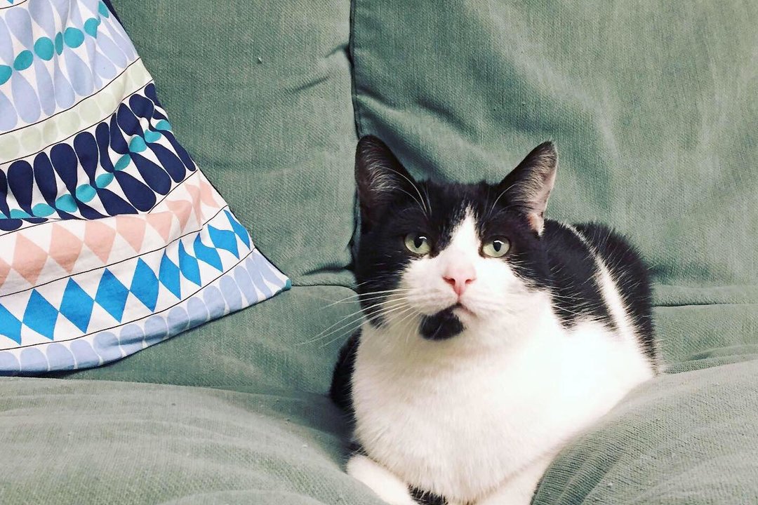 88154172_194083765340384_1875801033515466752_n