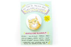 DreamCATchers Poezen magneet