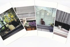 set van 5 kaartjes Raampoezen