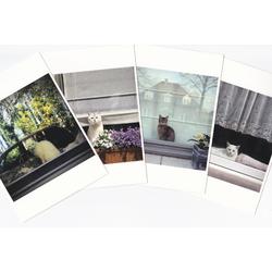 set van 5 kaartjes Raampoezen