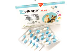 Voor de poezen van DC zylkene 