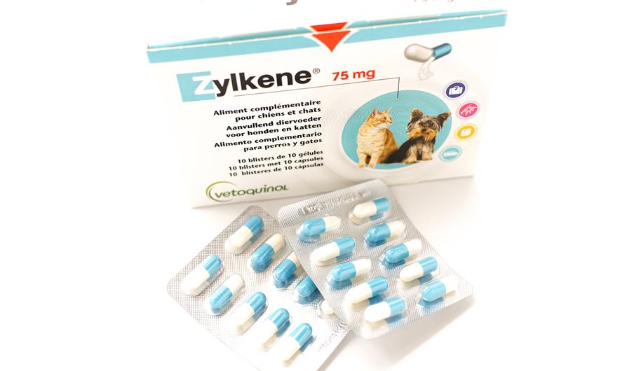 Voor de poezen van DC zylkene 