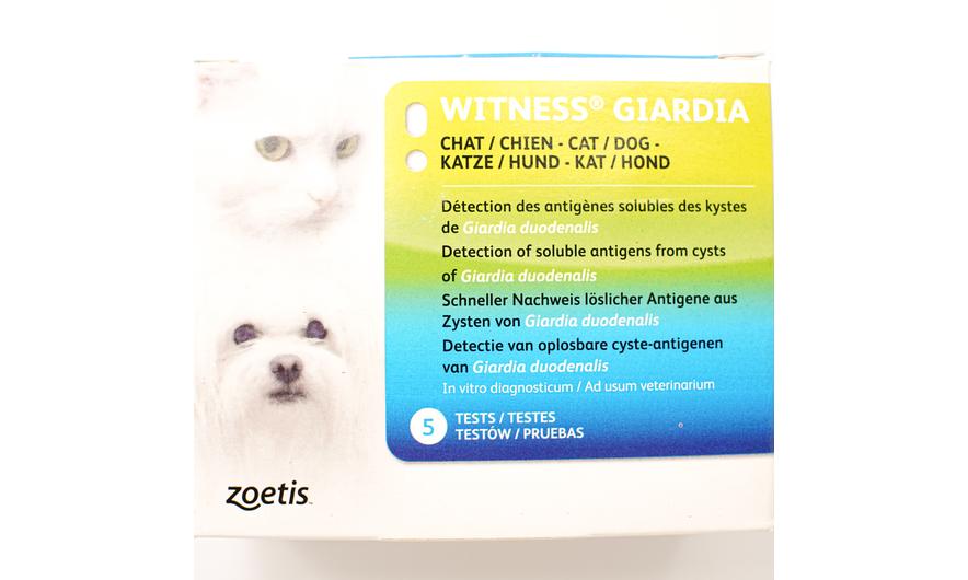 Voor de poezen van DC Giardia test