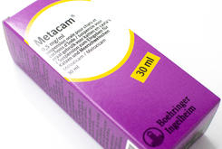 Voor de poezen van DC Metacam 