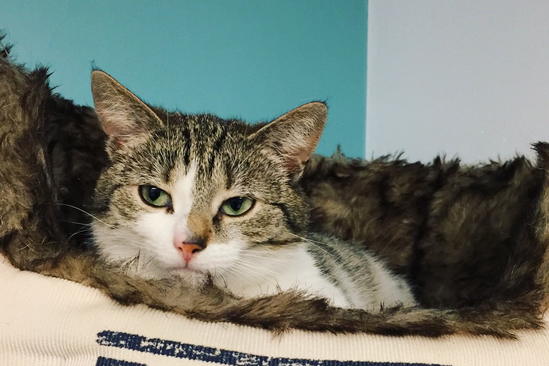 38FFE312_1781_471B_B91D_BBF5B9A03BB9